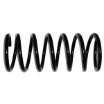 Coil Spring54010OM002,540100M002