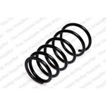 Coil SpringG50328011