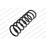 Coil SpringBP4K28011B