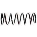 Coil Spring96391473,96242864