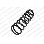 Coil Spring48231-50170