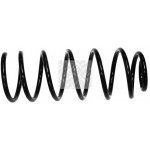 Coil Spring357 411 105Q,357 411 105P