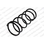 Coil Spring5502051Y04