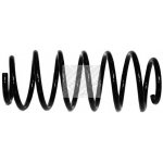 Coil Spring893 411 105B