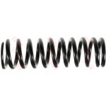 Coil Spring2013242604