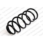 Coil Spring1J0411105BG