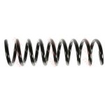 Coil Spring2103212904