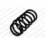 Coil Spring4131160B71