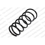 Coil SpringBJ3D28011,BJ1V28011