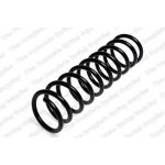 Coil Spring33531091548,33531091547,33531091546