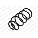 Coil Spring5963373