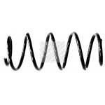 Coil Spring90 127 086,312 831