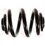 Coil Spring6383240504