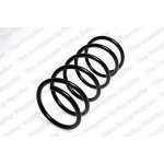 Coil Spring55101-H1300