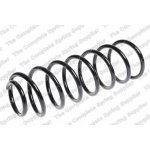 Coil Spring96653225