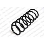 Coil Spring357411105