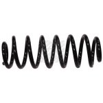 Coil Spring3353 1093 940,3353 1093 939