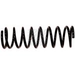 Coil Spring1 118 388,1 110 560,1 076 917,1 076 915,1 064 137,1 064 134